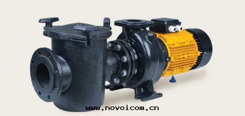 西(xī)班(bān)牙亞士霸鑄铁(tiě)泵泳池大(dà)型循环(huán)泵